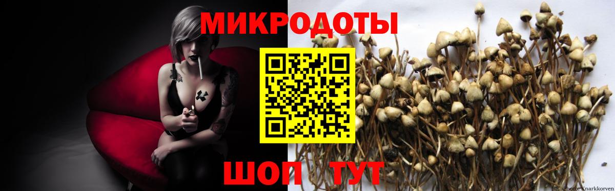 Псилоцибиновые грибы Psilocybine cubensis  Вход с VPN  Белебей 